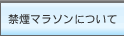 �ر�ޥ饽��ˤĤ���